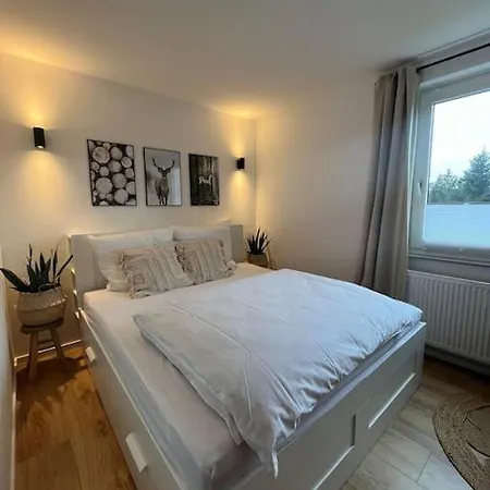 Hahnenklee'r Berg-glueck - Modernes * Goslar
